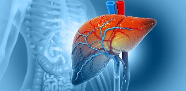 Conheça 5 sinais que podem indicar que o seu fígado não está bem