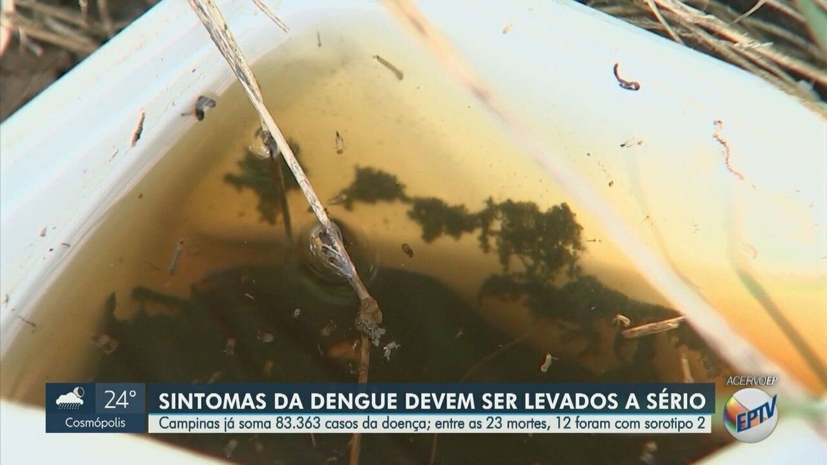 Dengue em Campinas: 52% das mortes são de pacientes infectados com o sorotipo 2; entenda