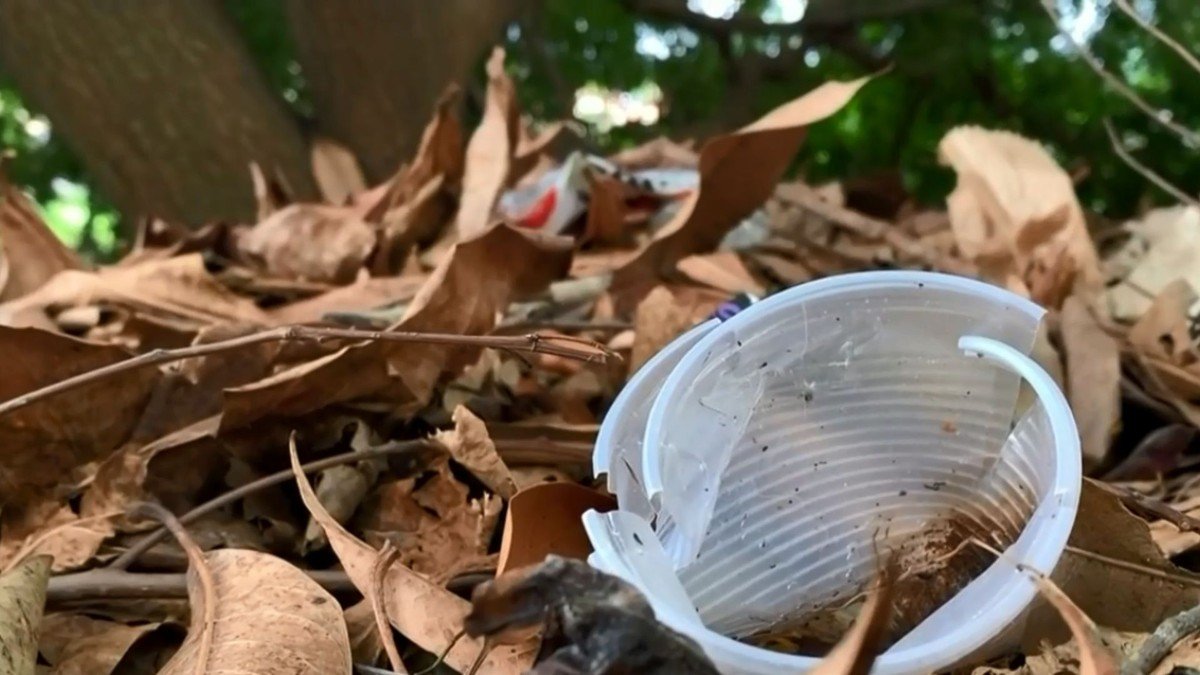 Governo de SP confirma 5ª morte por dengue em Bauru e outros dois óbitos pela doença na região