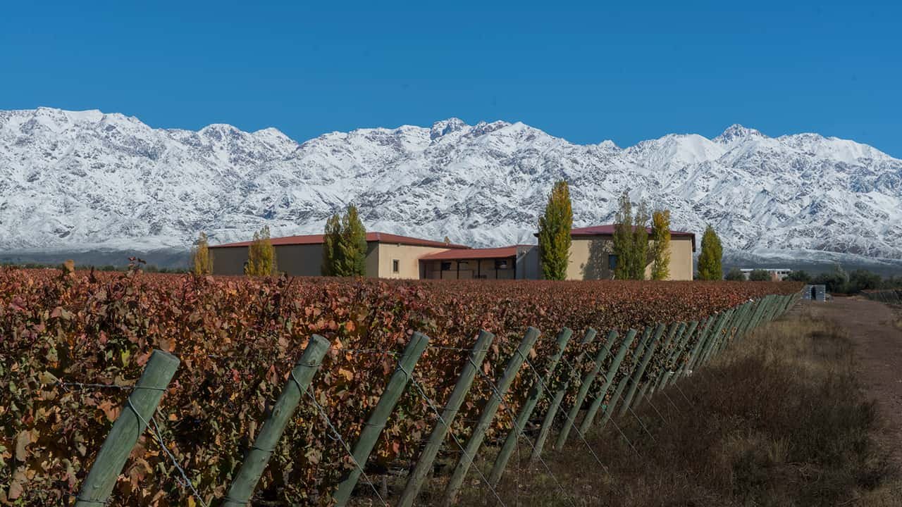 Mendoza, um destino para os amantes do vinho