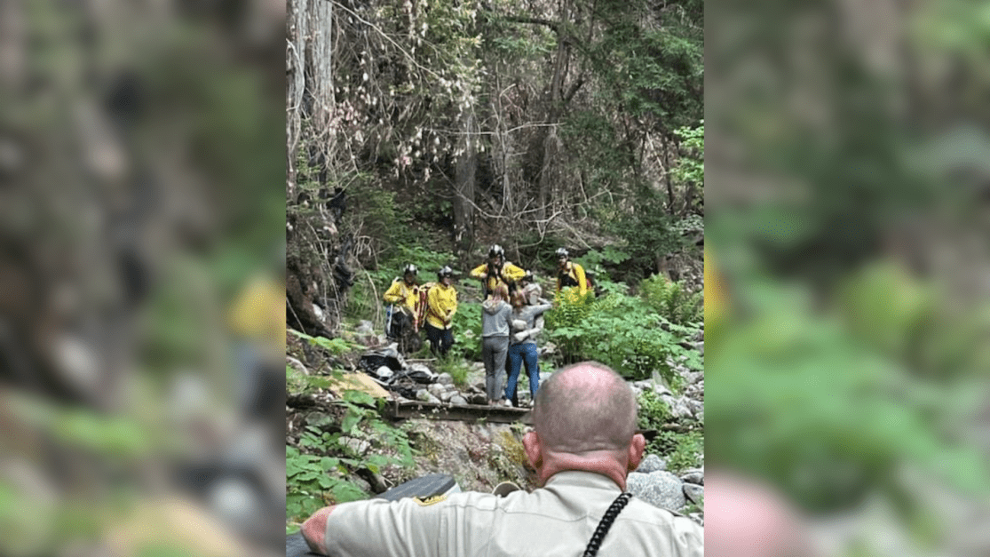 Homem desaparecido por 10 dias é resgatado com vida em floresta na Califórnia