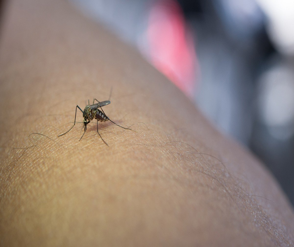 Salto confirma sexta morte por dengue em 2024