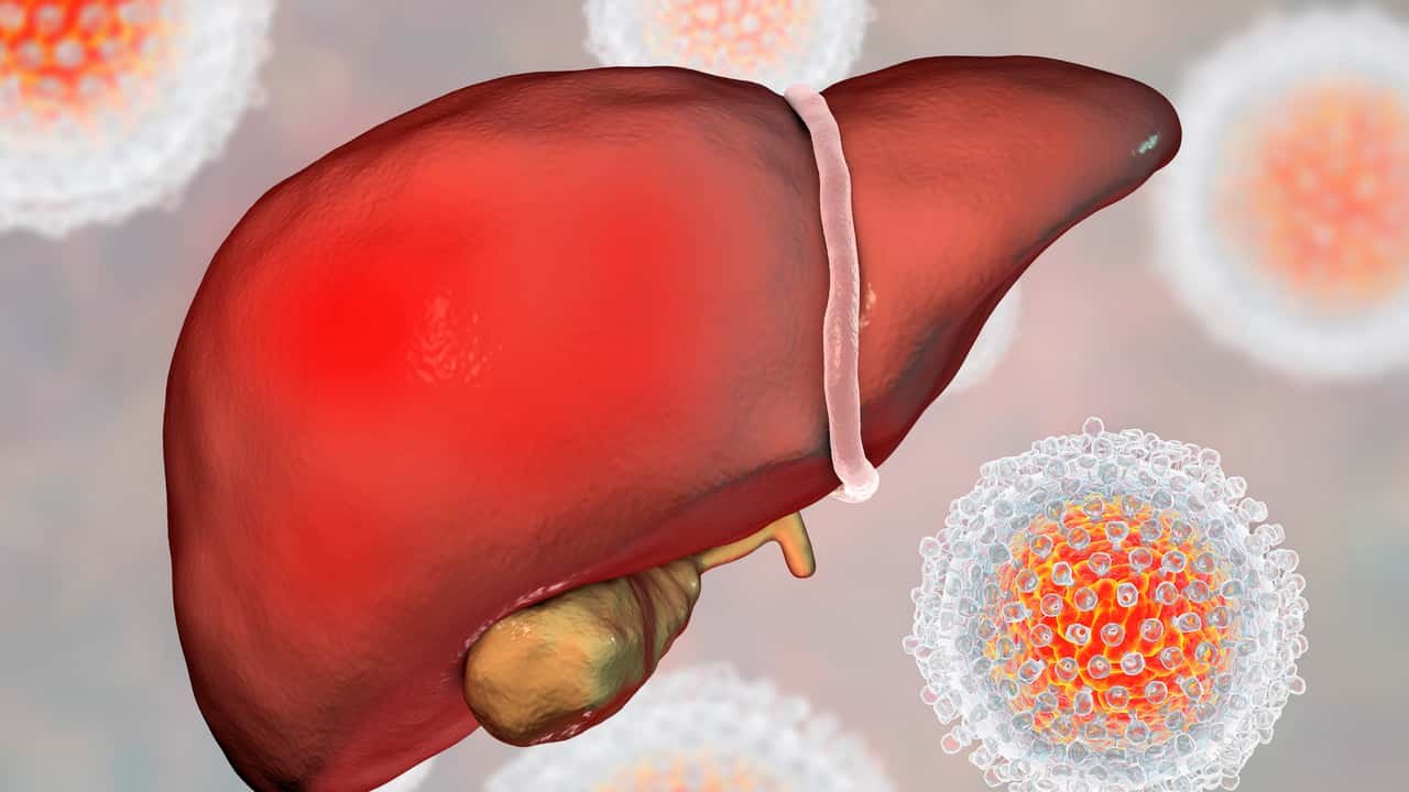 Veja alimento que auxilia na redução de gordura no fígado