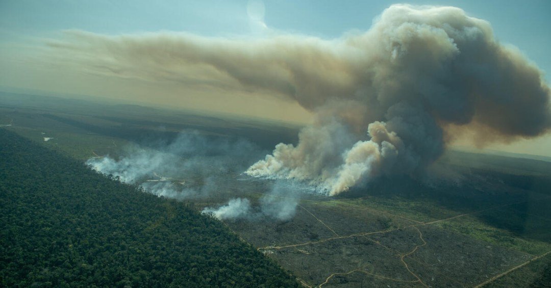 Focos de incêndios explodem na Amazônia