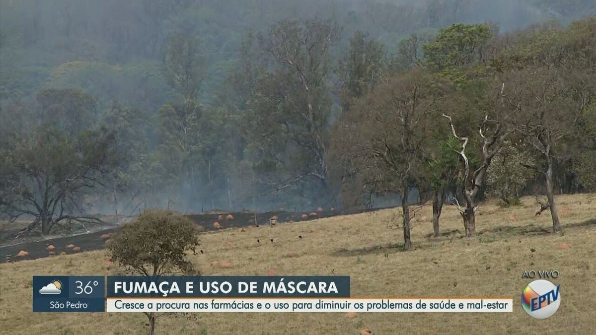 Caseira, descartável ou profissional: como cada tipo de máscara pode barrar inalação de fumaça gerada por queimadas