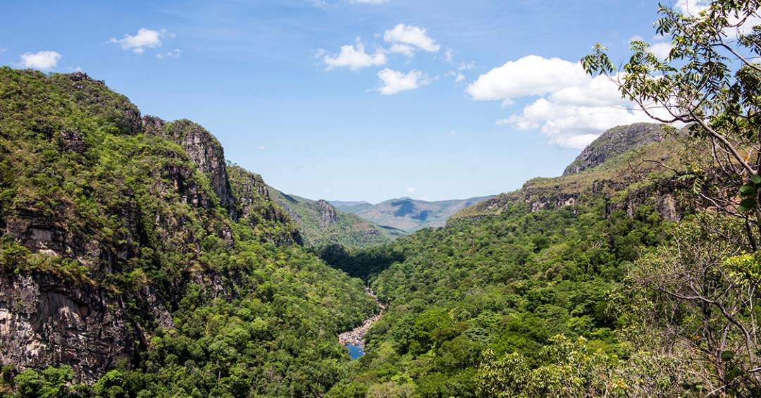 Incêndio destrói mais de 10 mil hectares do Parque…