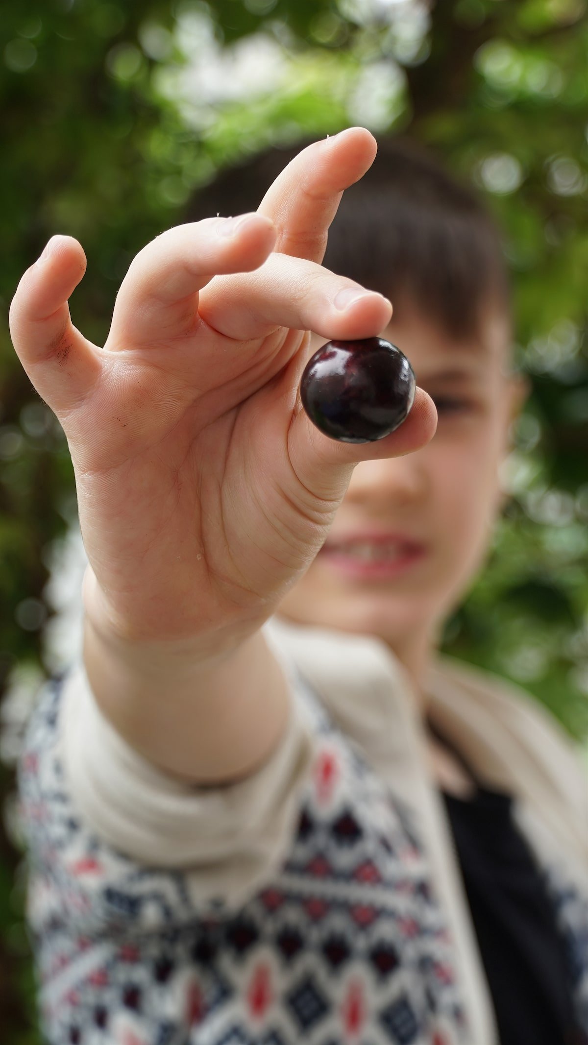 Casca de jabuticaba: quais os benefícios? Pode comer?