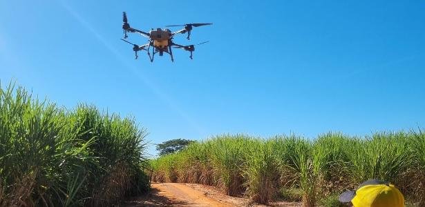 Mercado procura pilotos de drone e paga bem: ‘Entrei e não saí mais’